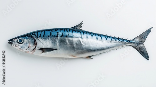 Fresh raw mackerel fish, top view isolated on clean white background