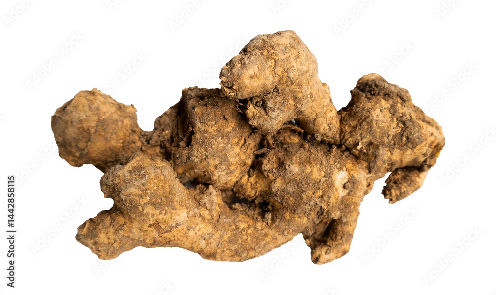 ginger root isolated on white ginger root isolated on white