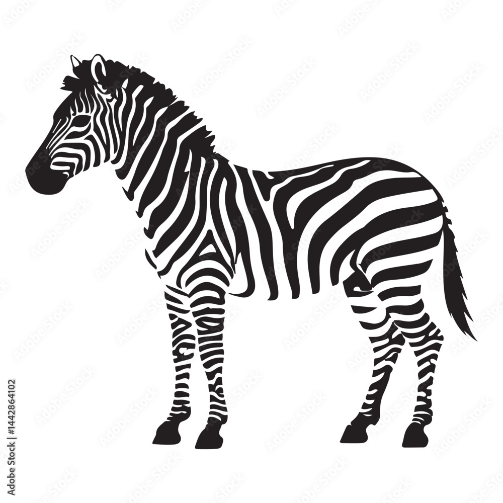 Fototapeta premium A zebra Vector Black silhouettes. with white background art illustration