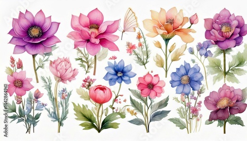 Beautiful Watercolor Fairy Flowers on White Background - Clipart Collection 