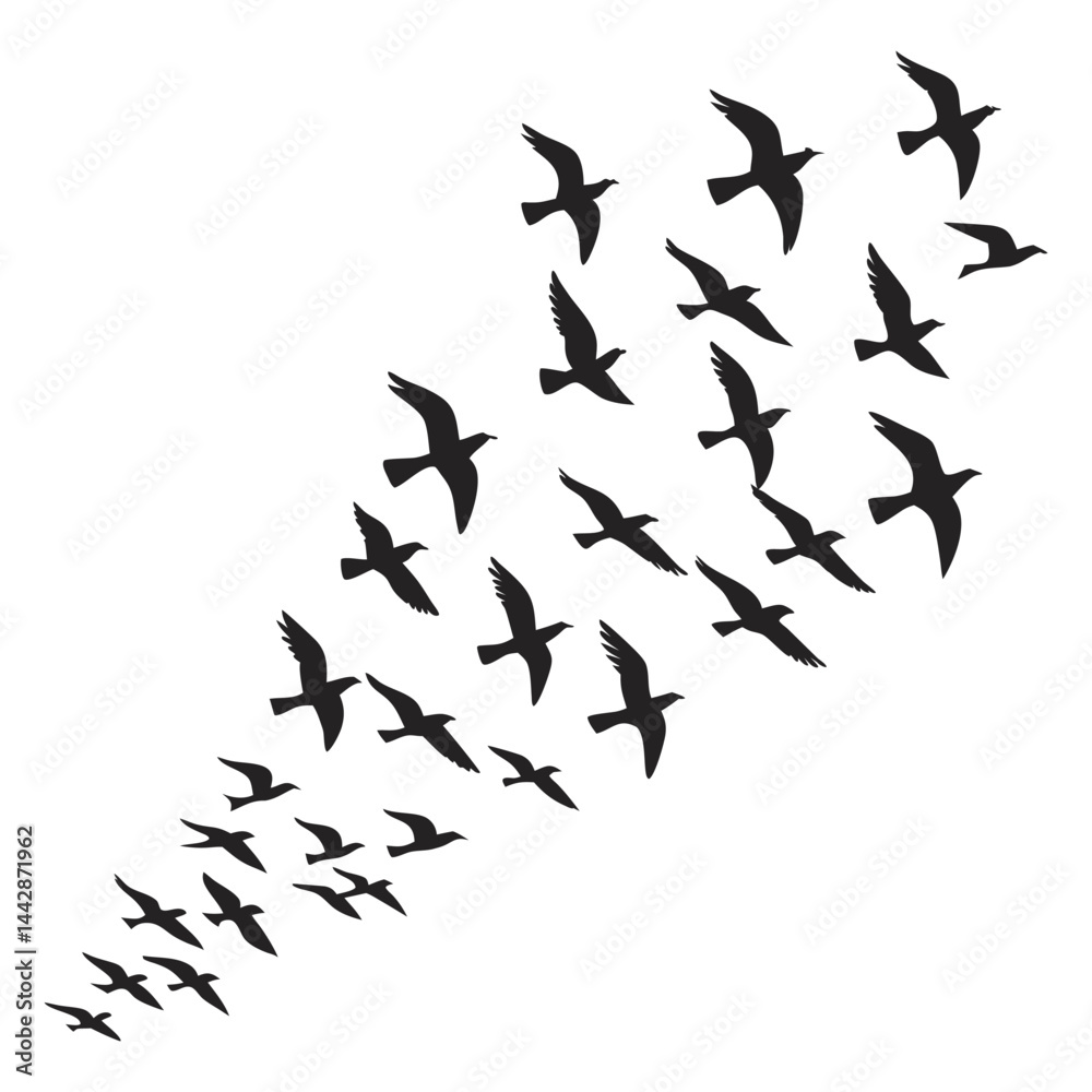 Flying Bird Flock Silhouettes 