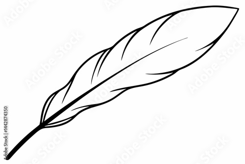 Seagull Feather Line Art Vector Illustration
