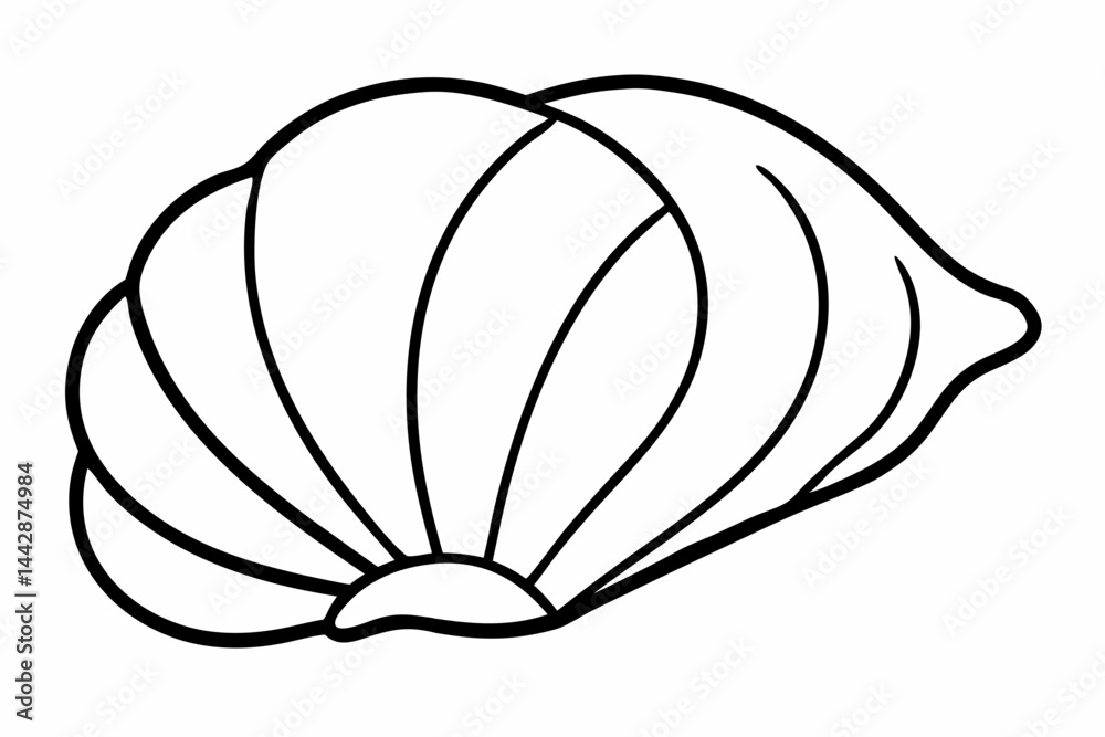 Fototapeta premium Single Sea Shell Line Art Vector Illustration