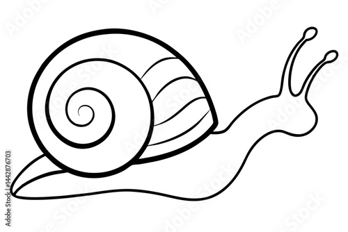 Tiny Snail Shell Line Art Vector Illustration