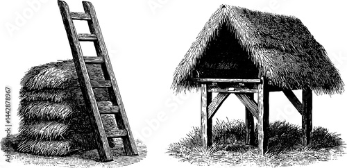 Vintage roofer tools and structures: engraved ladder and thatched roof designs for historical prints
