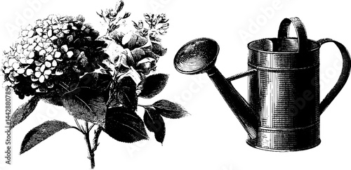 Vintage florist bouquet and watering can engraving for botanical design and decor