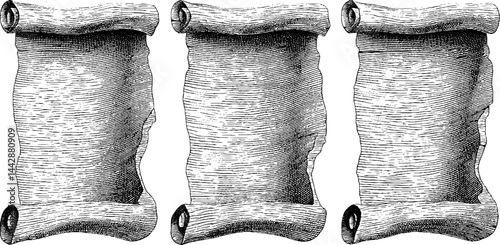 Vintage engraved illustration set of lost scrolls for historical design projects