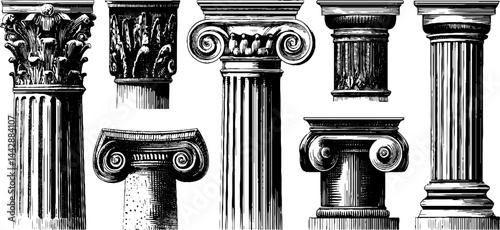 Intricate engraved illustration of ancient greek columns for historical design