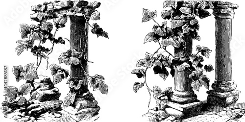 Intricate engraved illustration of ancient temple ruins with vines