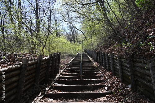 群馬県の伊香保にある山ノ公園に通じる散策路の風景