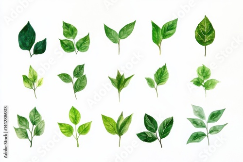 Watercolor painting of various green leaves arranged on a white background in a grid pattern
