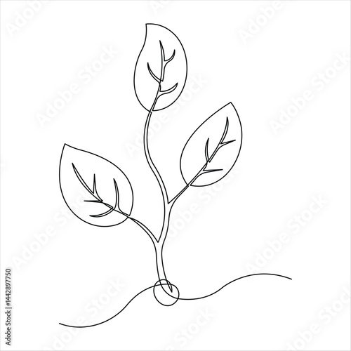 Growth plant in single continuous Line drawing. Sprout with leaves in simple linear style isolated vector illustration
