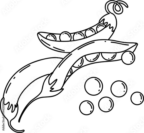 pea Line Art Illustration – Hand Drawn Vegetable Sketch