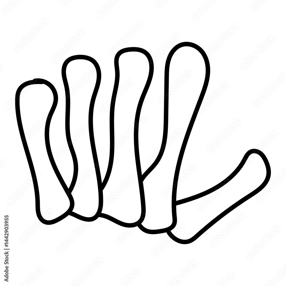 Obraz premium Patella icon