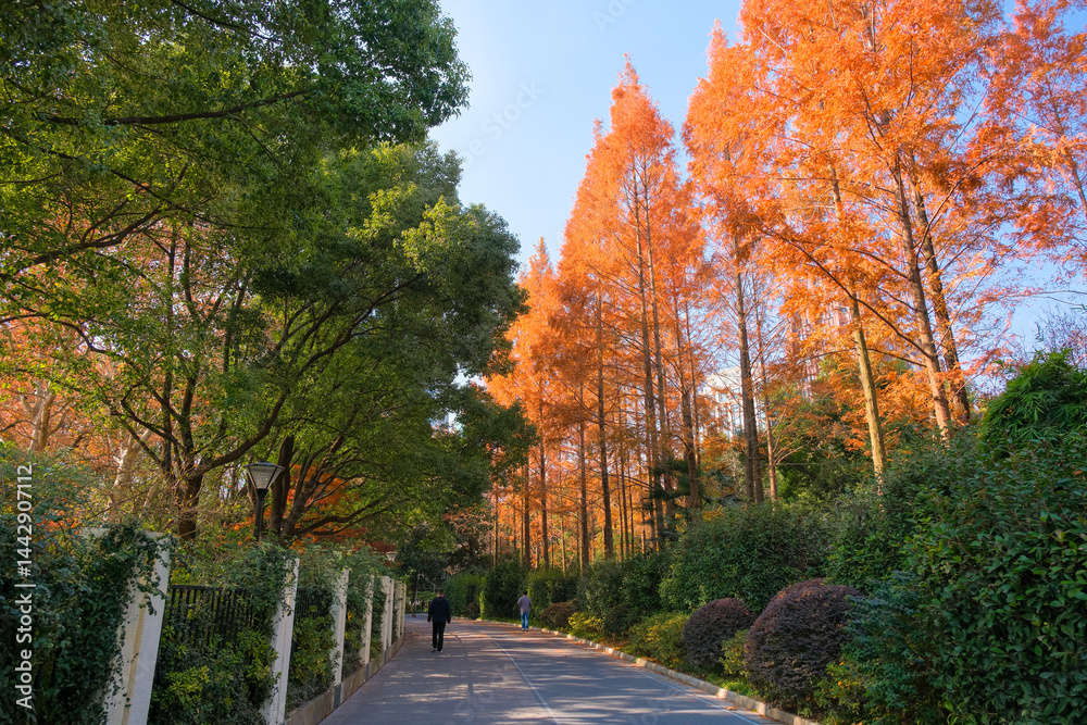 中国 上海市、上海人民公園
