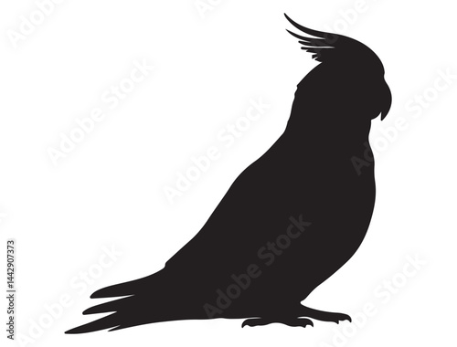 COCKATIEL SILHOUETTE WHITE BACKGROUND