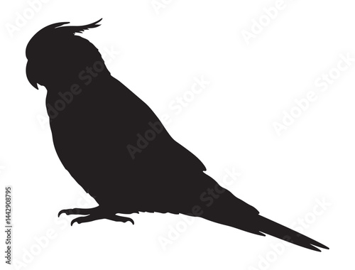 COCKATIEL SILHOUETTE WHITE BACKGROUND