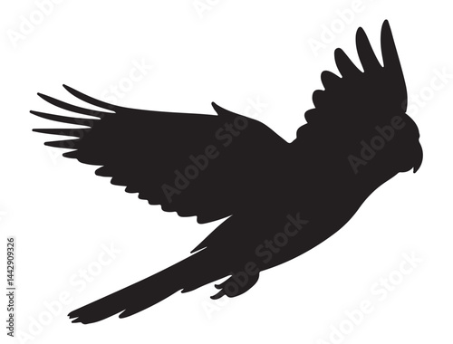 COCKATIEL SILHOUETTE WHITE BACKGROUND