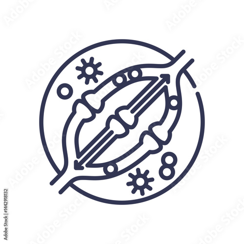 Illustration of mitosis, showing cell division and chromosomes.