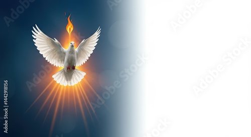 White dove and flames on a gradient background with text for Pentecost Sunday with spase for text. Christian holy trinity descent of the holy spirit catholic design template.