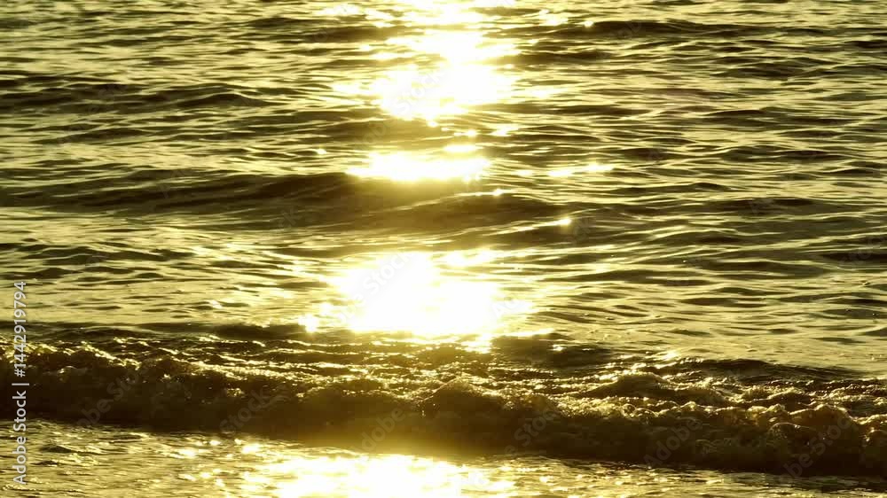 The waves shimmer in the golden sunlight, breaking softly against the sandy shore. The scene exudes tranquility, with the warm hues reflecting off the water, showcasing the serenity of the coastline.
The waves shimmer in the golden sunlight, breaking softly against the sandy shore. The scene exudes tranquility, with the warm hues reflecting off the water, showcasing the serenity of the coastline.
