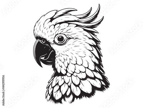 COCKATOO SILHOUETTE WHITE BACKGROUND