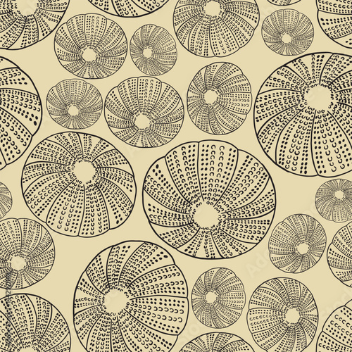 Seamless vector pattern of hand-drawn seashells. Marine design. Ocean pattern for textile, wallpaper and interior design. Summer print for background, textile, fabric