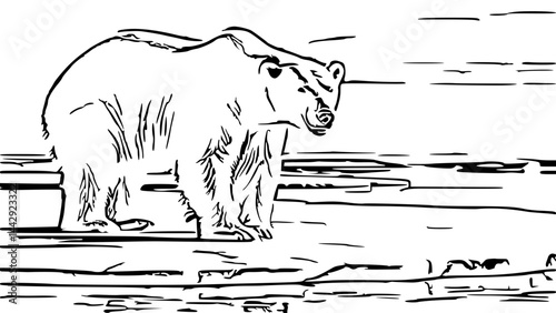 polar bear on a rock