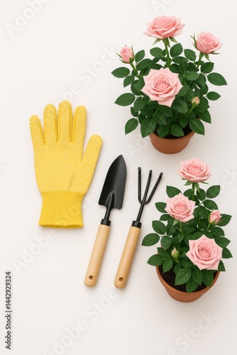 Gardening Tools and Potted Pink Roses on White Background With Yellow Gloves