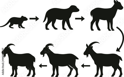 Goat Evolution Silhouette Vector Set – Prehistoric to Modern Goat Silhouette Vector.