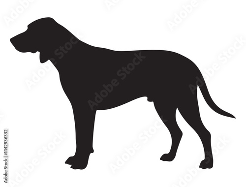 COONHOUND DOG SILHOUETTE