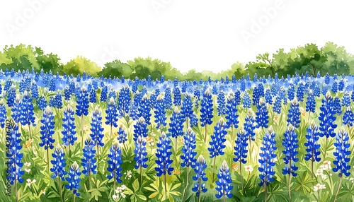 Vibrant Bluebonnet Wildflowers in Expansive Meadow Under Bright Sky and Green Foliage