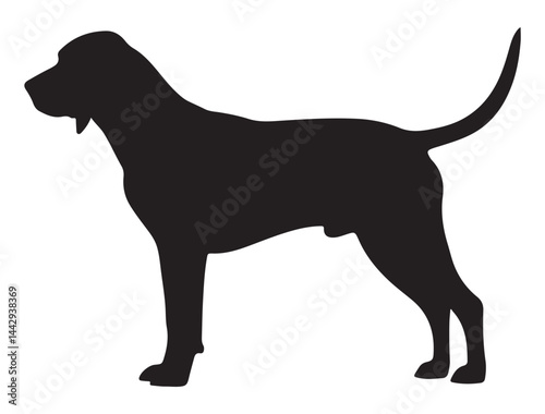 COONHOUND DOG SILHOUETTE