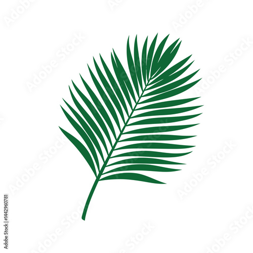 Palm Leaf Green Isolated vector illustration
