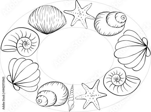 Seashell oval frame template for text. Vector graphic line ink illustration free hand drawing, sketch style. Banner, poster, wrapping paper, sticker, print, modern textile design.