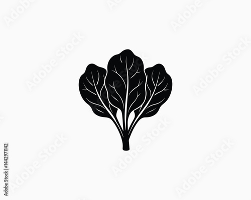 spinach  Vector illustration design