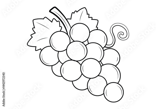 Grapes outline Vector Illustration, Coloring Page for Kids
