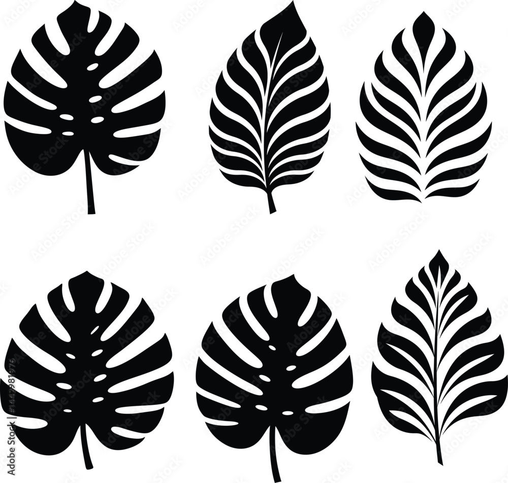 Fototapeta premium Collection of Tropical Leaf Silhouettes