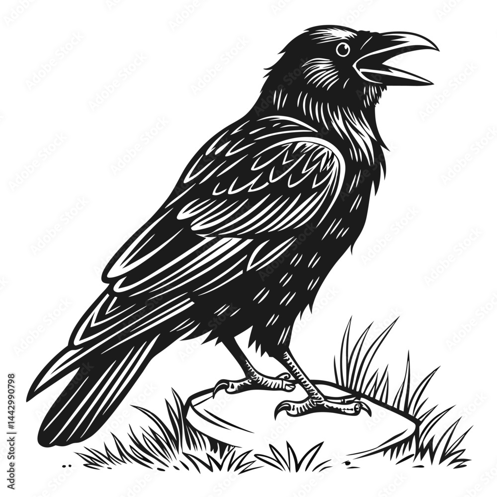 Fototapeta premium a-crow-only-vector-image