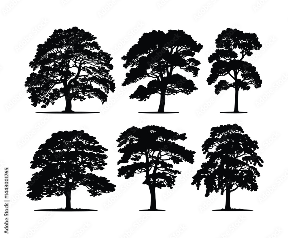 Fototapeta premium Hornbeam Tree Silhouette EPS Template Collection