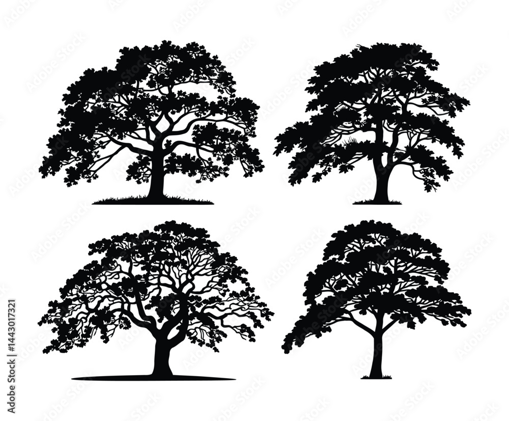 Fototapeta premium Minimal Hornbeam Tree Silhouette Collection Vector Template