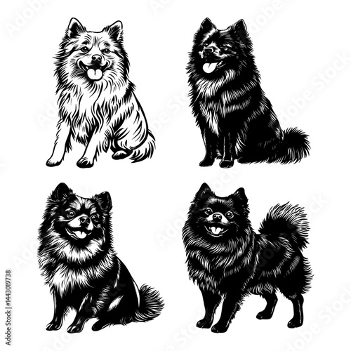 Set of Keeshond dog silhouettes in modern flat vector style – fluffy spitz breed in standing and playful poses