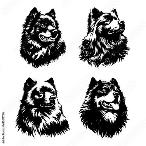Finnish Lapphund dog portraits – fluffy Nordic spitz breed in bold black and white vector illustration style