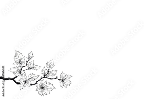 Floral Branch Black and White Line Art Illustration