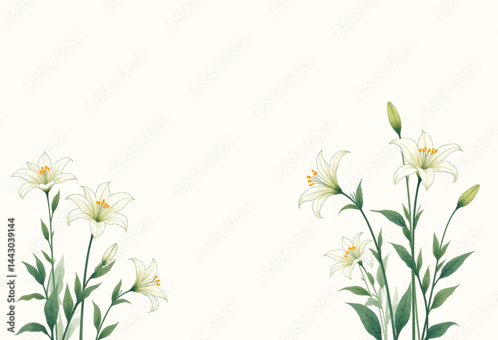 Elegant white lily floral arrangement on cream background