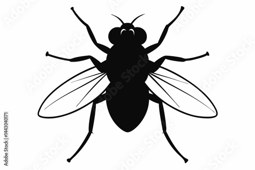 Housefly Silhouette Vector Illustration
