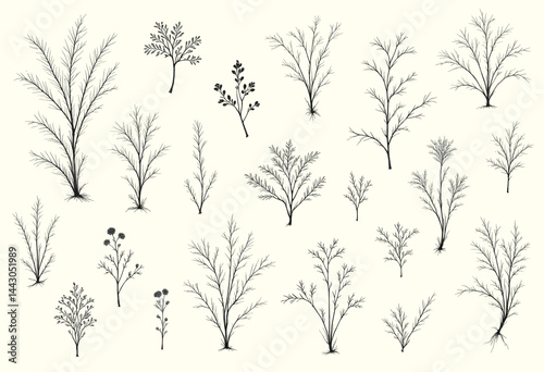 Obraz na płótnie Botanical seamless pattern, black twigs on cream background w salonie