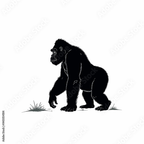 Black Gorilla Silhouette Walking on White Background