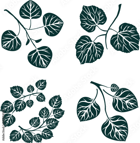 set of botanical aspen leafs vector design.