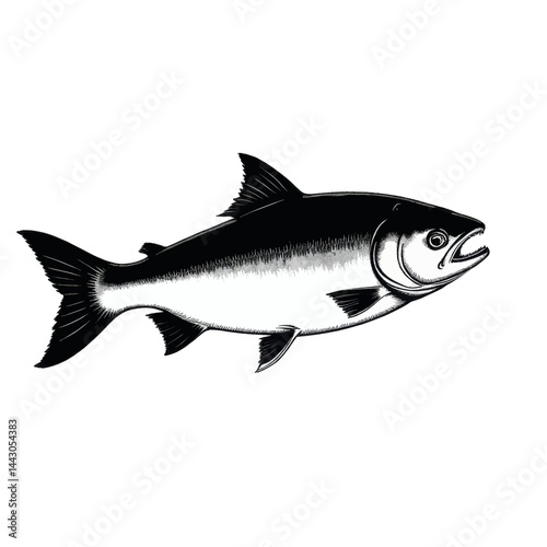 Black and white illustration of a milkfish with open mouth